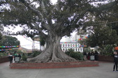 Enlarge photo 96