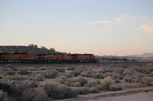 Enlarge photo 146