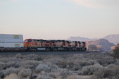 Enlarge photo 149
