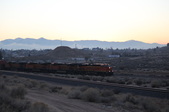 Enlarge photo 159