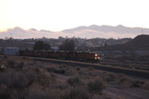 Enlarge photo 161