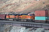 Enlarge photo 177