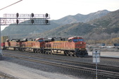 Enlarge photo 181