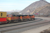 Enlarge photo 183
