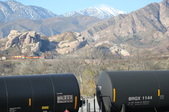 Enlarge photo 202