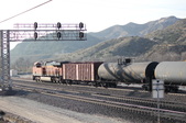 Enlarge photo 205