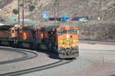 Enlarge photo 216