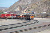 Enlarge photo 230