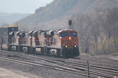 Enlarge photo 258