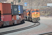 Enlarge photo 261