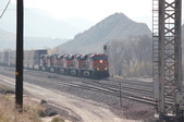 Enlarge photo 272