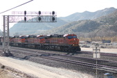 Enlarge photo 274