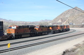 Enlarge photo 275