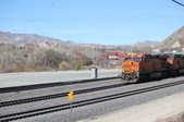 Enlarge photo 285