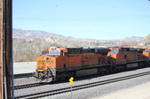 Enlarge photo 287