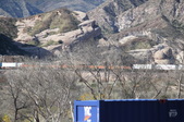 Enlarge photo 302