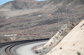 Enlarge photo 318