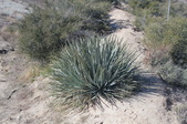 Enlarge photo 338