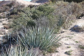 Enlarge photo 339