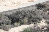 Enlarge photo 340