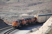 Enlarge photo 341