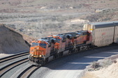 Enlarge photo 342