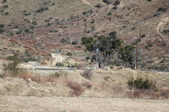 Enlarge photo 347