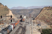 Enlarge photo 392