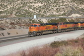 Enlarge photo 427