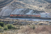 Enlarge photo 428