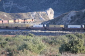 Enlarge photo 438