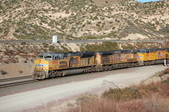 Enlarge photo 445