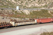 Enlarge photo 451