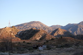 Enlarge photo 461