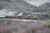 Enlarge photo 477