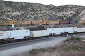 Enlarge photo 483