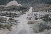 Enlarge photo 484