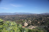 Enlarge photo 696