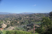 Enlarge photo 697