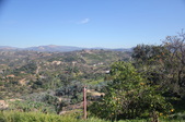 Enlarge photo 698