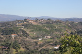 Enlarge photo 699