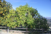 Enlarge photo 701