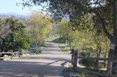 Enlarge photo 702