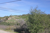 Enlarge photo 703