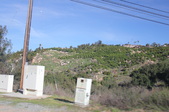 Enlarge photo 704