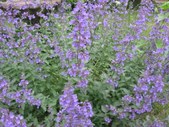 Enlarge photo 98
