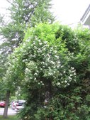 Enlarge photo 103