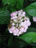 Enlarge photo 115