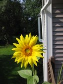 Enlarge photo 118