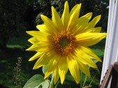 Enlarge photo 120